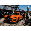 MetalPrint_12X18-20260626215808417